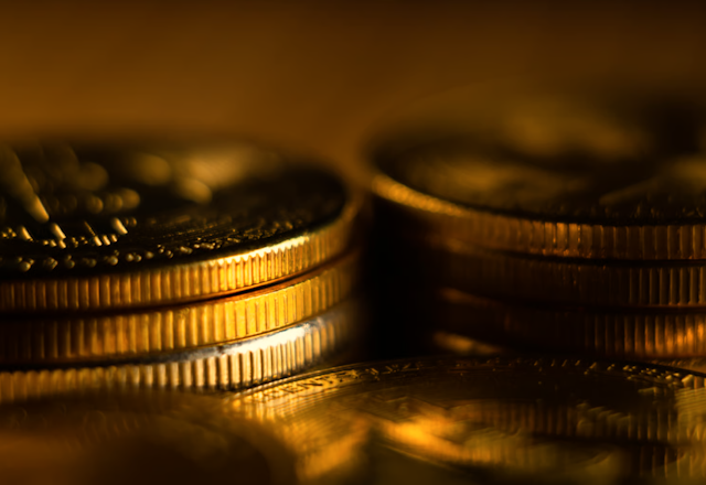Plant growing beside coins suggesting productive stewardship